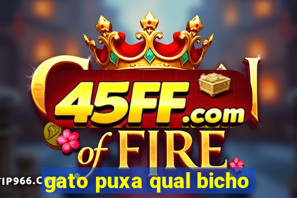 gato puxa qual bicho